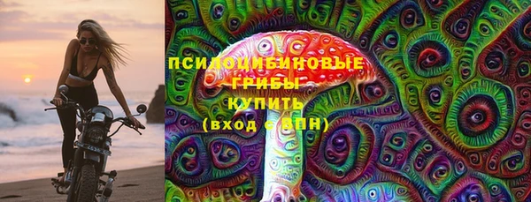 гидропоника Трёхгорный
