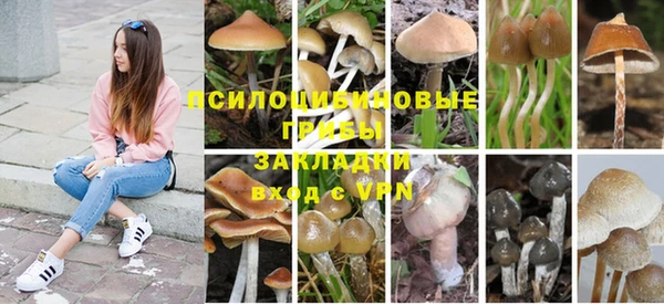 крисы Иноземцево