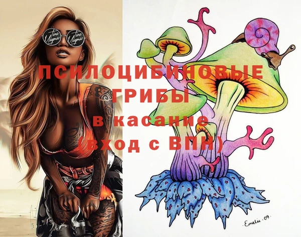 2c-b Нестеровская