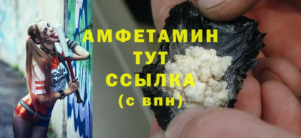прущие грибы Александровское