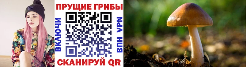 наркотики  Армянск  Галлюциногенные грибы ЛСД 